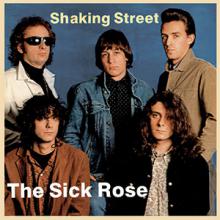 copertina THE SICK ROSE "Shaking Street" 